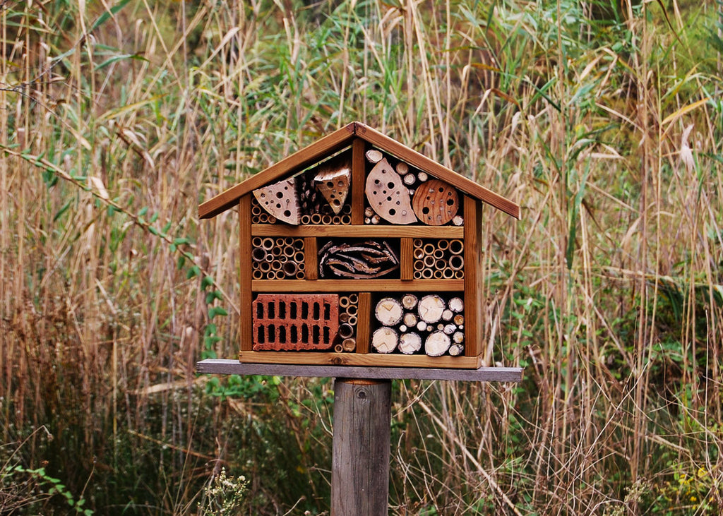 Photo of a wooden house DIY Bug or Insect Hotel for Lunch Lady Magazine