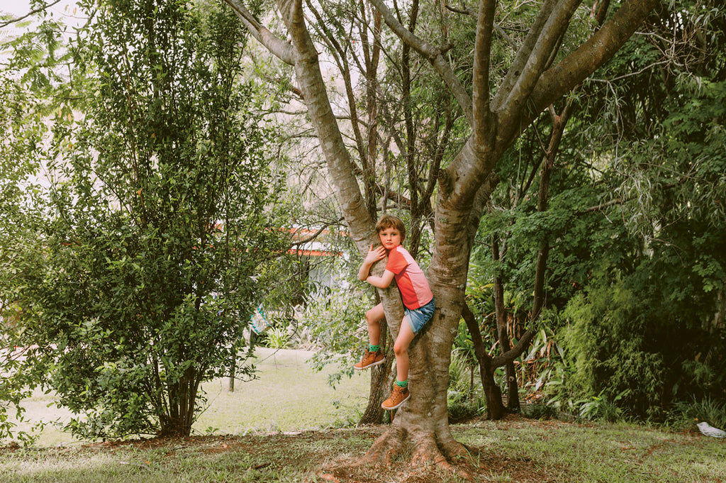 Three Ways to Hug a Tree