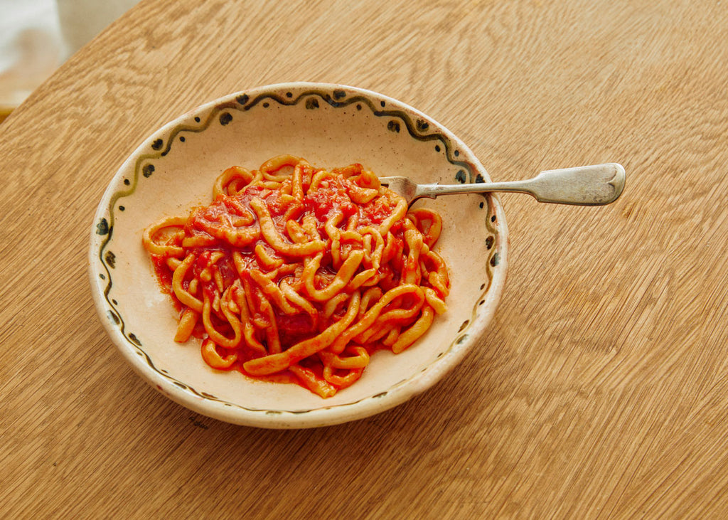 a bowl of pici pasta in tomato sauce by Julia Ostro for Lunch Lady Magazine