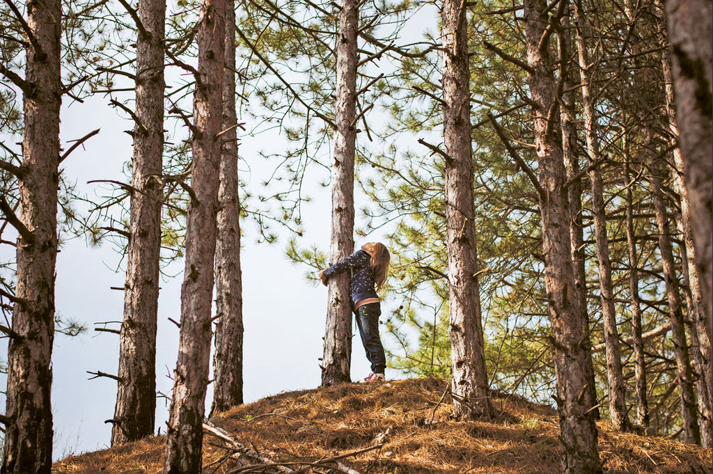 The History of Tree Hugging